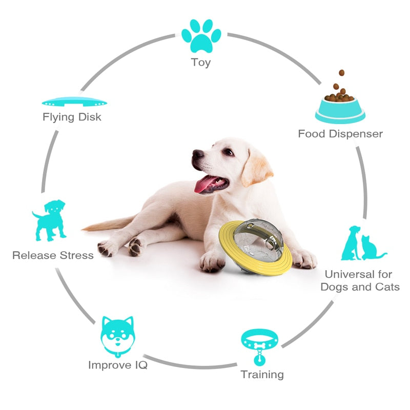 Rotating Disc Interactive Dog Toy