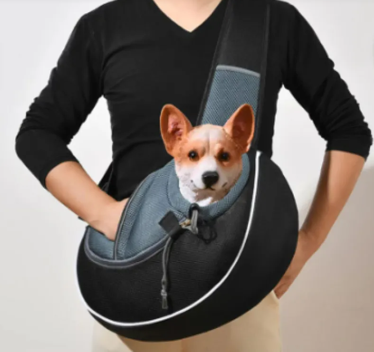 Safety Pet Carrier Bag for Dogs & Cats