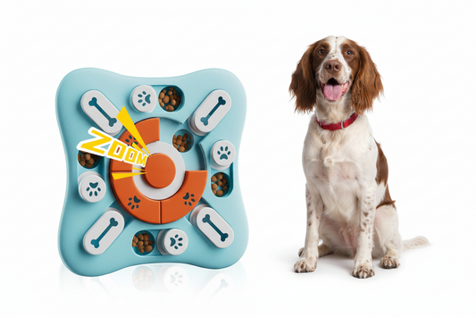Educational Dog Toy