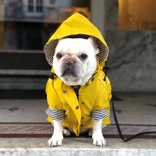 Classic Retro Windproof Padded Dog Raincoat