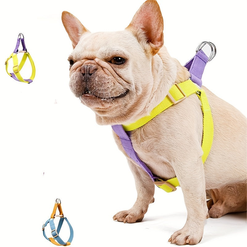 Fashion Rainbow Anti-Escape Dog Harness and Leash Set