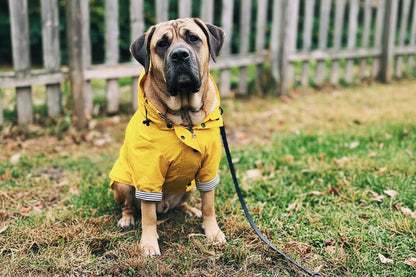 Classic Retro Windproof Padded Dog Raincoat