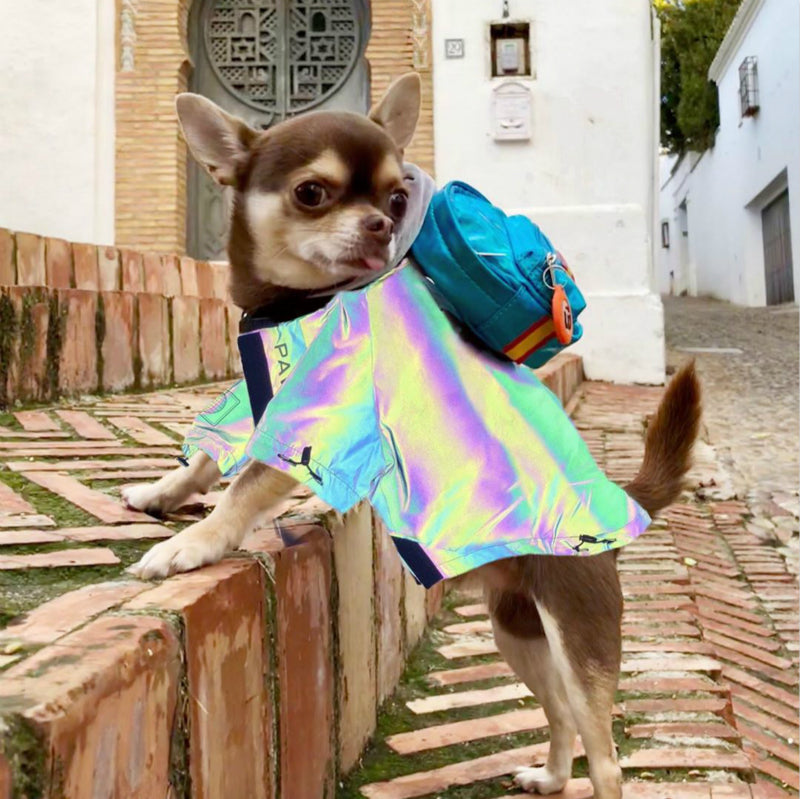 Super Stylish Reflective Raincoat for Dogs