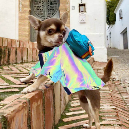 Super Stylish Reflective Raincoat for Dogs