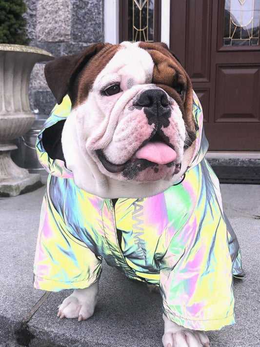 Super Stylish Reflective Raincoat for Dogs