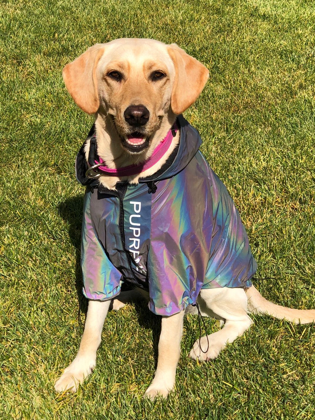 Super Stylish Reflective Raincoat for Dogs