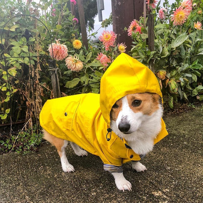 Classic Retro Windproof Padded Dog Raincoat