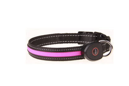 Luminous Dog Collar - USB Rechargeable