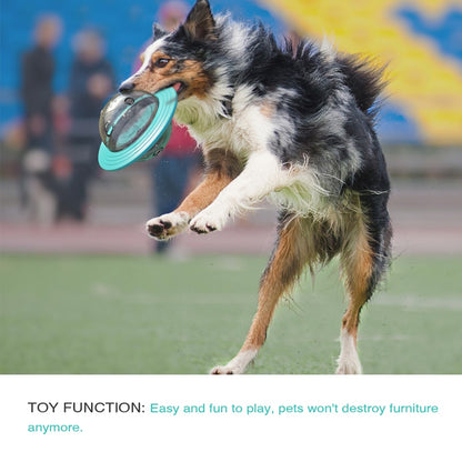Rotating Disc Interactive Dog Toy