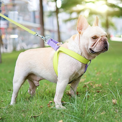 Fashion Rainbow Anti-Escape Dog Harness and Leash Set