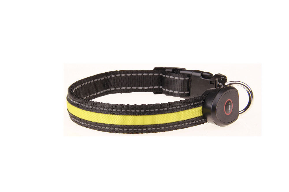 Luminous Dog Collar - USB Rechargeable