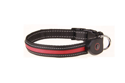 Luminous Dog Collar - USB Rechargeable