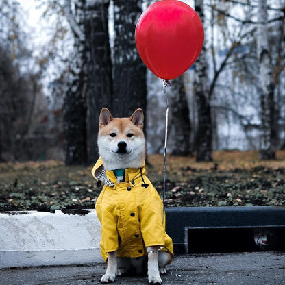Classic Retro Windproof Padded Dog Raincoat