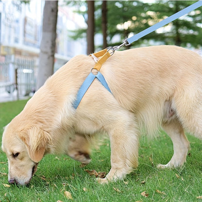 Fashion Rainbow Anti-Escape Dog Harness and Leash Set