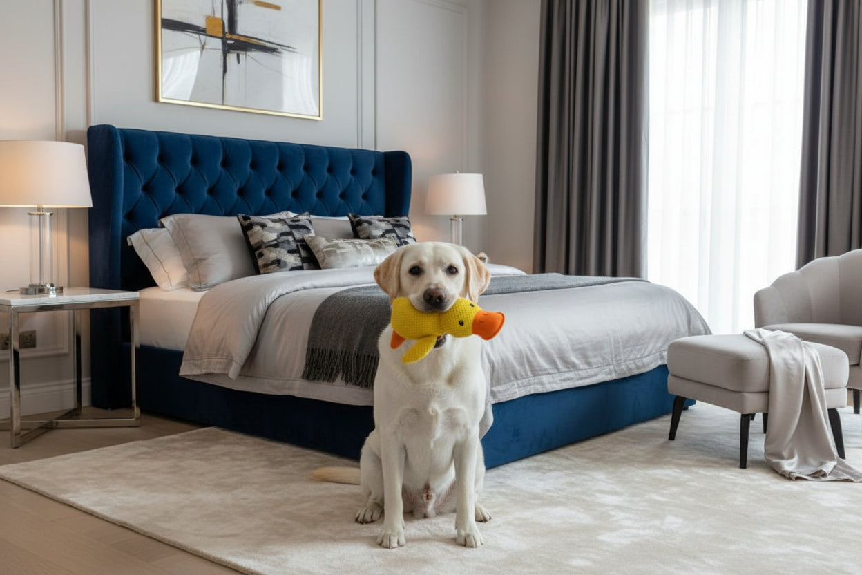 Calming Duck Toy - Emotional Support